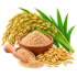 Rice Bran Oil