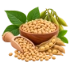 Soybean Oil