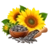 Sunflower Oil